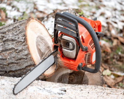 TREE SERVICES